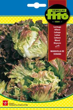 Semillas de Lechuga Maravilla de Verano de marca Fito