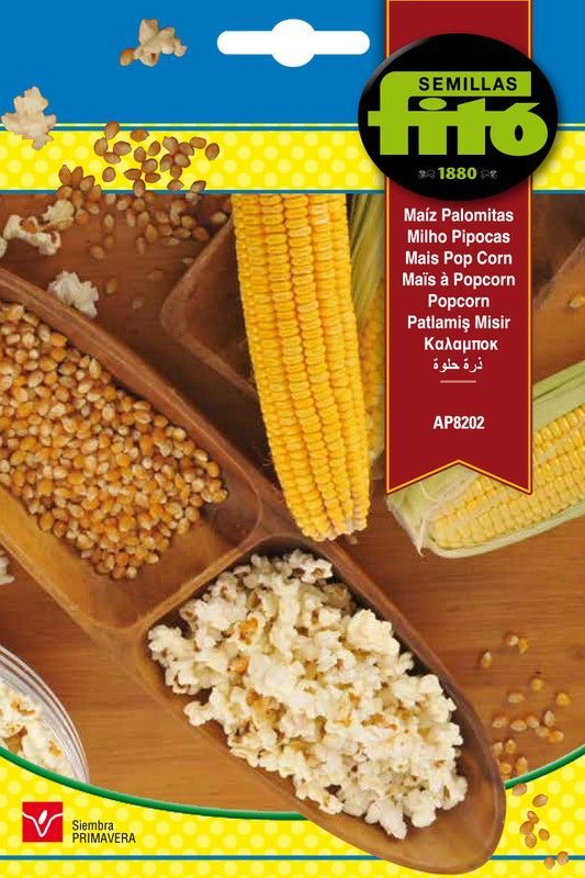 Semillas de Maíz Palomitas AP8202 de marca Fito