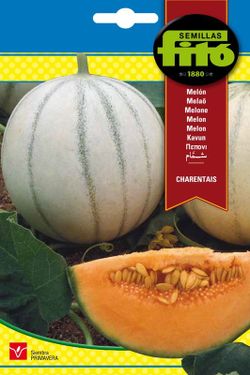 Semillas de Melón Charentais de marca Fito