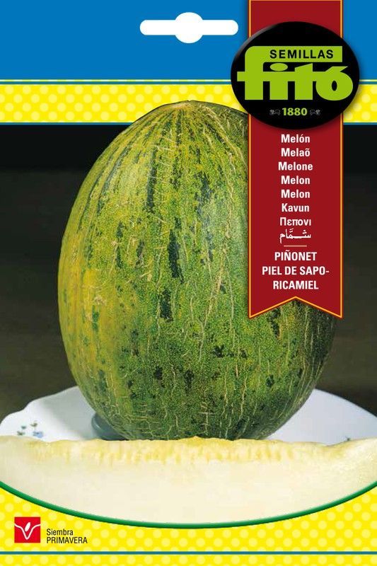 Semillas de Melón Piñonet Piel de Sapo - Ricamiel de marca Fito