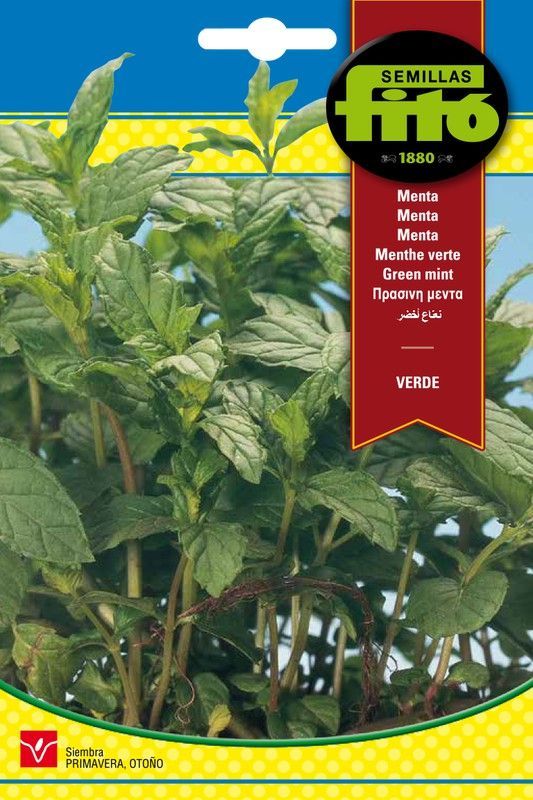 Semillas de Menta Verde de marca Fito