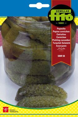 Semillas de Pepinillo SMR58 de marca Fito