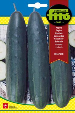 Semillas de Pepino Bellpuig de marca Fito