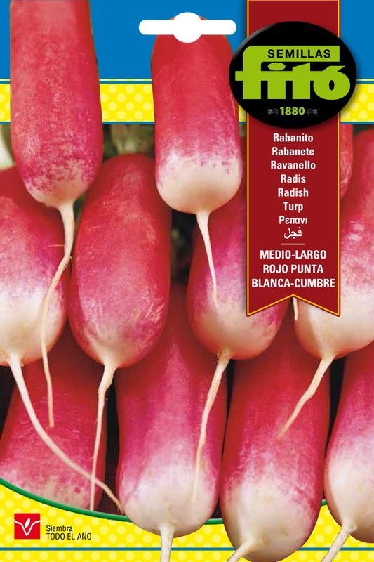 Semillas de Rabanito Medio-Largo Rojo Punta Blanca Cumbre de marca Fito