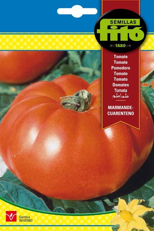 Semillas de Tomate Marmande - Cuarenteno de marca Fito