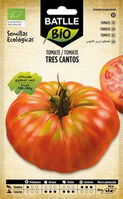 Semillas ecológicas de tomate tres cantos gigante rosa