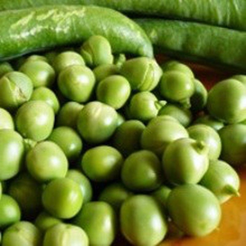 Semillas Guisantes 1/2 Enrame
