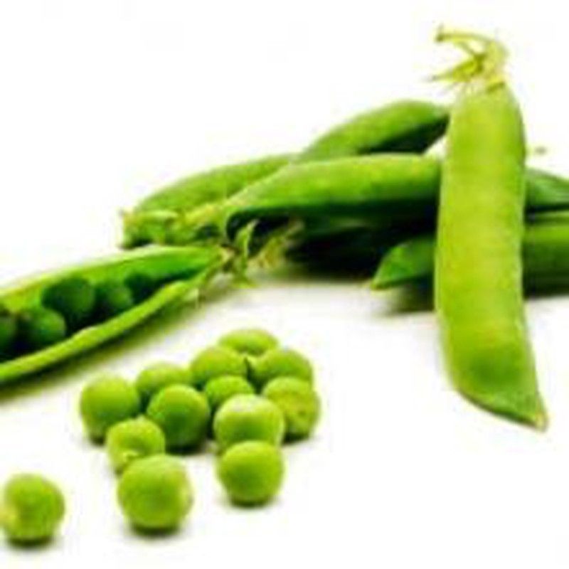 Semillas Guisantes Mata Baja