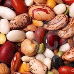 Semillas Judías Grano Seco