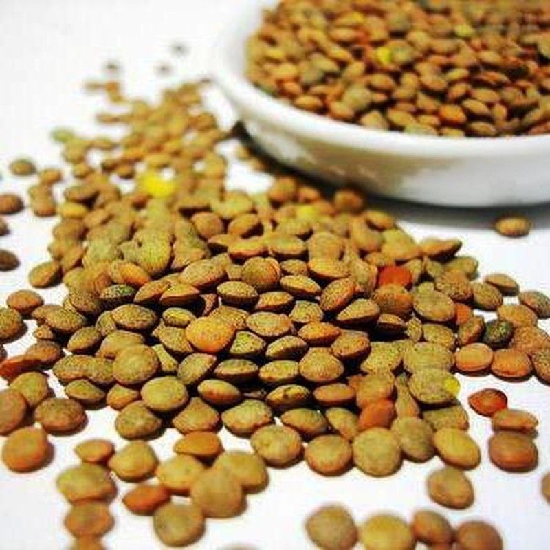 Semillas Lenteja Pardina 250 gr
