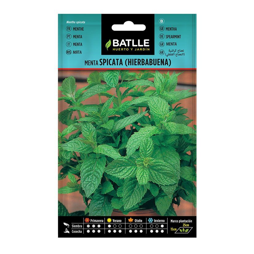 Semillas Menta Spicata 10 Bol