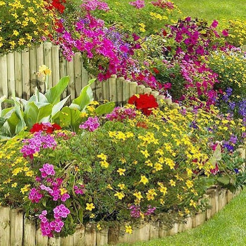 Semillas Mezclas de Flores