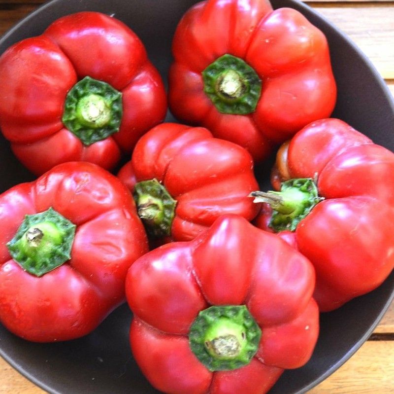 Semillas Pimiento Tomate