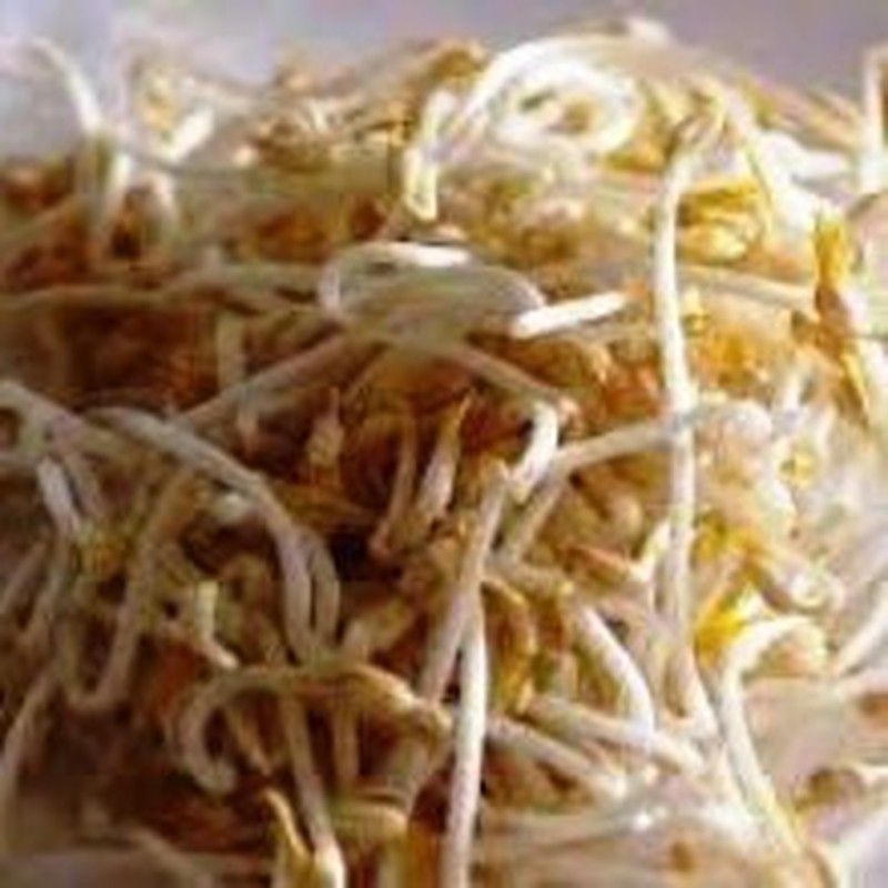 Semillas Soja Verde Germinada Bio