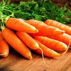 Semillas Zanahorias