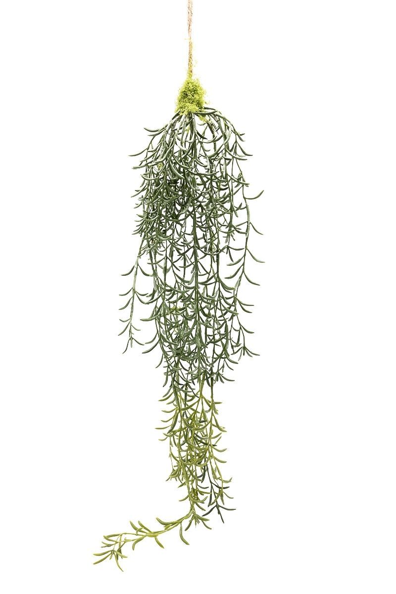 Senecio colgante artificial