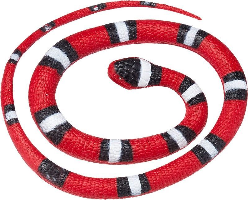 Serpiente De Goma - Scarlet