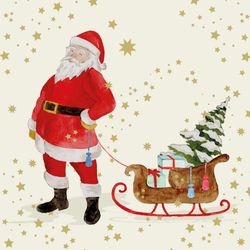 Servilleta Navidad Snowflakes & Santa  33x33  PPD