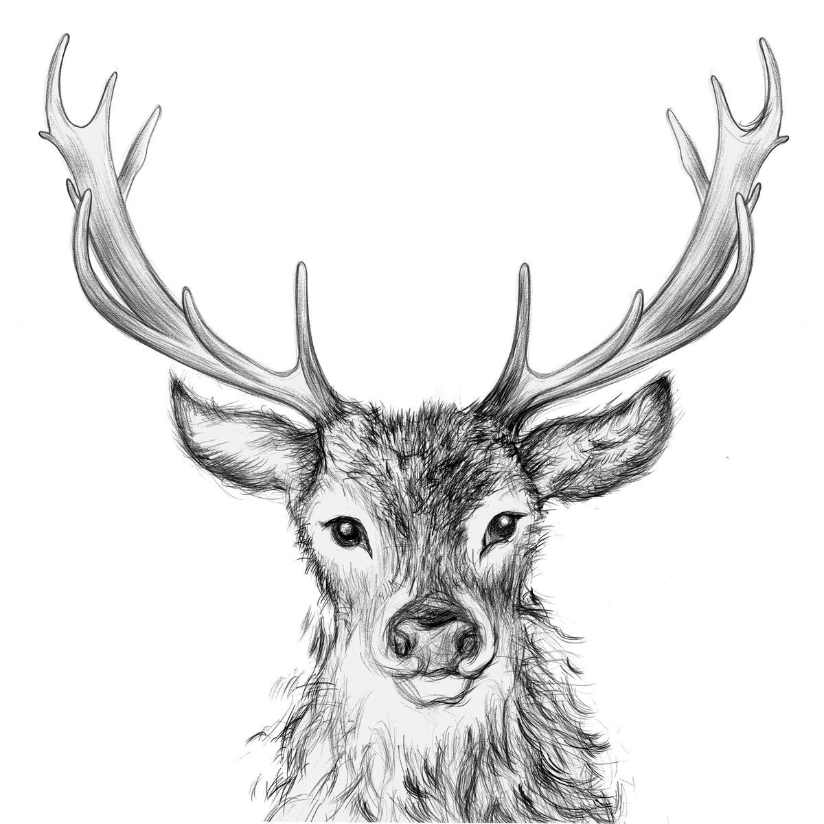 Servilleta Paul cm PPD Ideal Manualidades