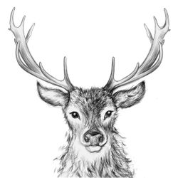 Servilleta Paul cm PPD Ideal Manualidades