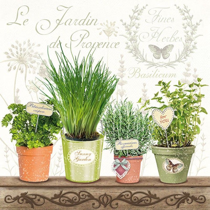 Servilletas Ambiente 33x33 20 ud LE JARDIN DE PROVENCE