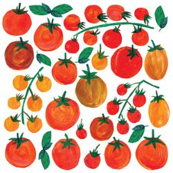 Servilletas Decoradas Tomates Tracey's  33x33  PPD