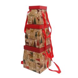 Set 3 cajas cuadradas Moi 19x19x22 cm.