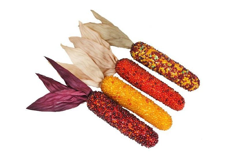 Set decorativo 4 mini mazorcas