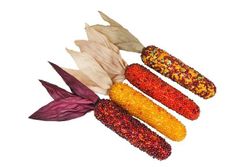 Set decorativo 4 mini mazorcas