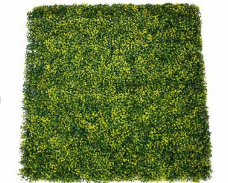 Seto Decorativo Buxus 100x100cm Jardínes Verticales