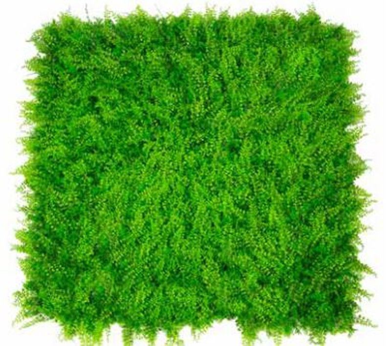 Seto Decorativo Helecho Max 100x100cm