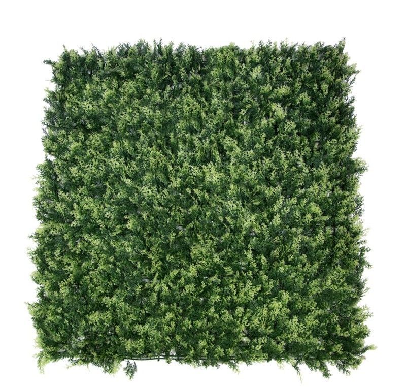 Seto Decorativo Thuya Medidas 1mx1m