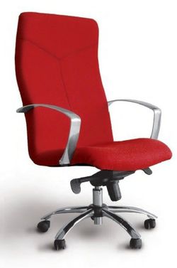 Silla de dirección modelo caudete