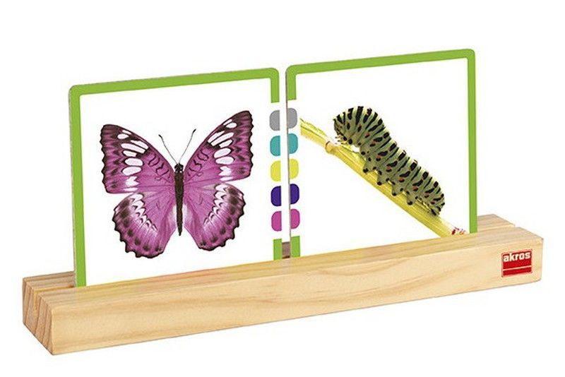 Soporte de madera para fichas