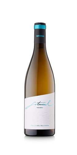 Sotneral Blanc Macabeu