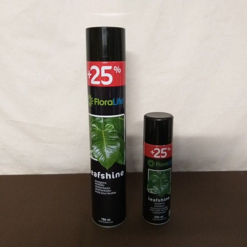 Spray Brillo  250 cc (1 unidad)