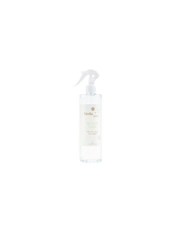 Spray hidroalcohólico de Aloe Vera 500ml