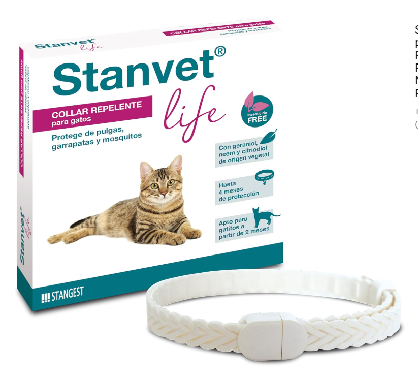 Stangest Collar Stanvet Life Gato