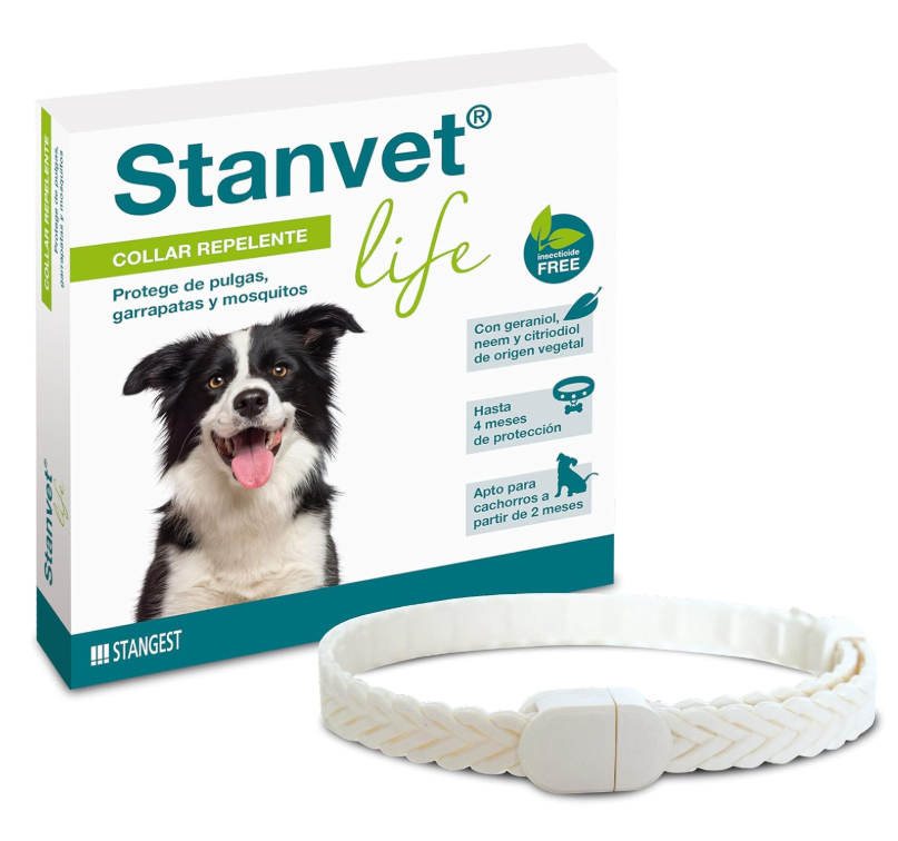 Stangest Collar Stanvet Life Perro