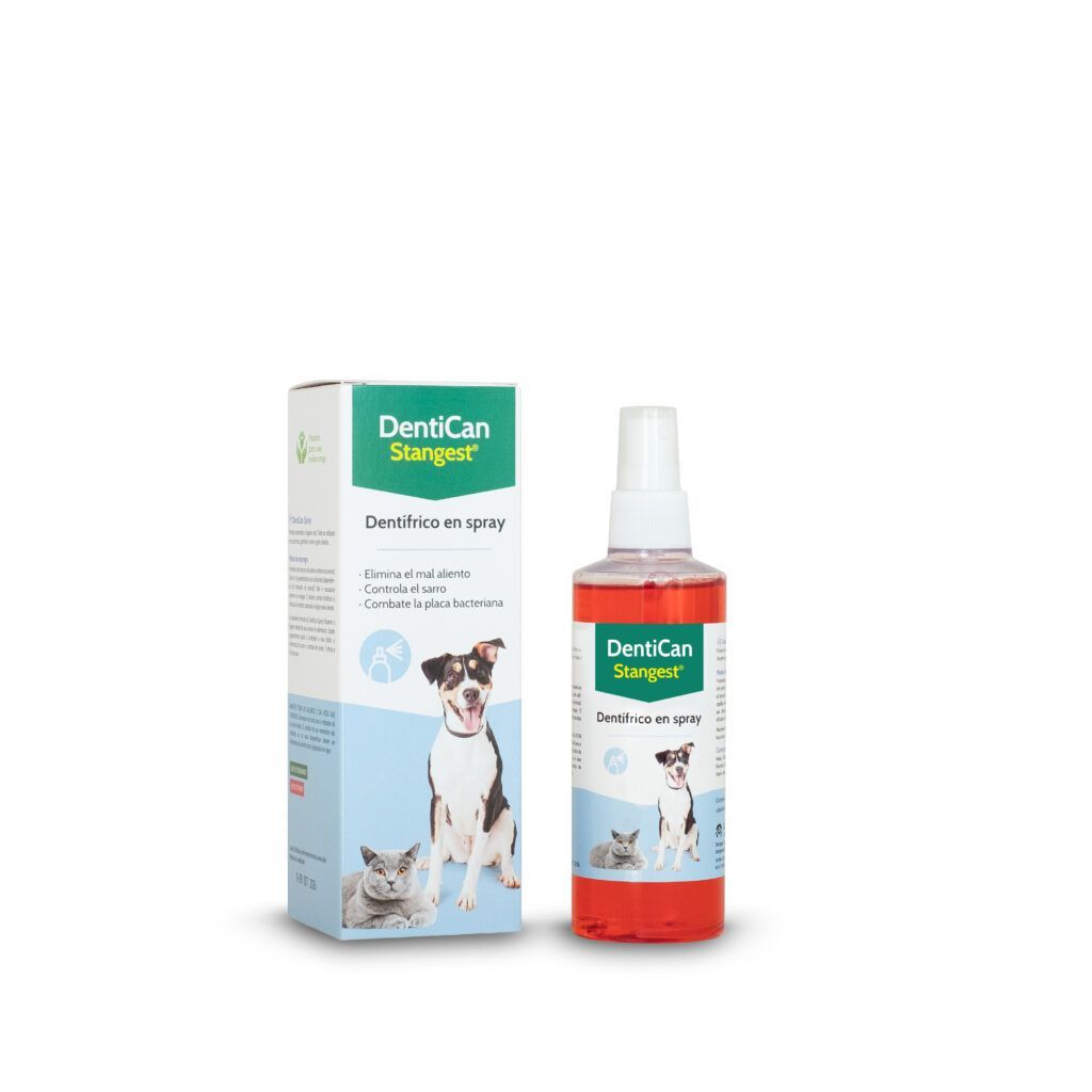 Stangest Dentican Spray Dental 125ml