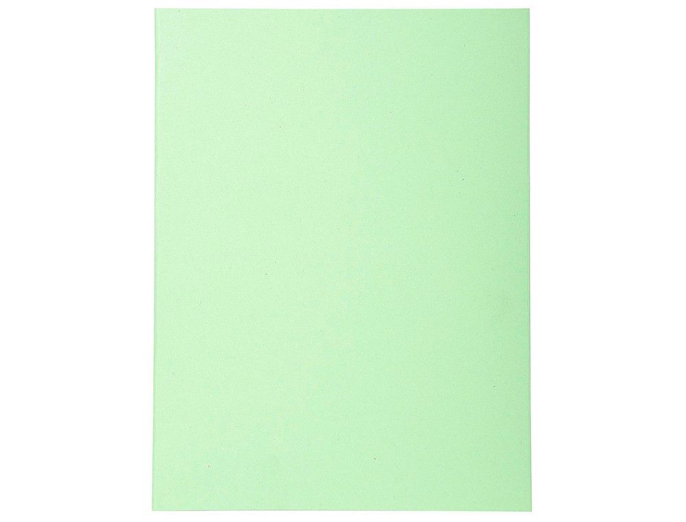 Subcarpeta Cartulina Reciclada Exacompta Din A4 Verde Claro 170 Gr
