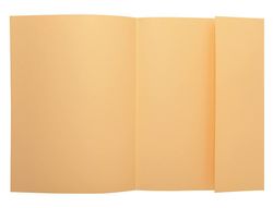 Subcarpeta Exacompta Din A4 Crema 160G/M2 Con Solapa Interior