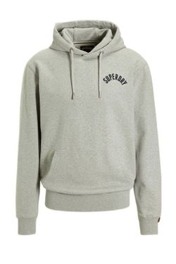 Sudadera con capucha y con backprint letras branding Superdry Grey Marl