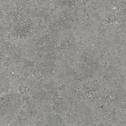 Suelo porcelánico Roadstone Gray 60x60 mate TAU
