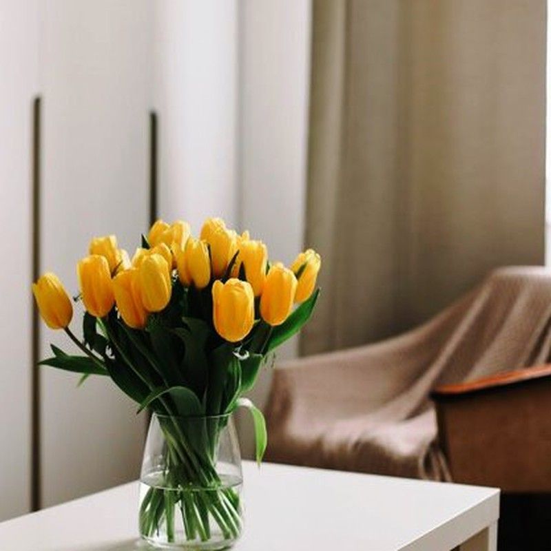 Suscripcion Flor Quincenal 24,50 € cada 15 días