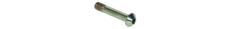 Suspension part trek bolt m8x1.25x42.5 chrome plated