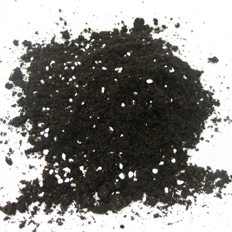 Sustrato ecológico y universal Ecocelta