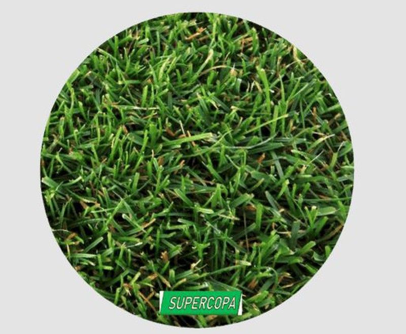 Tepe ornamental y resistente-52m2