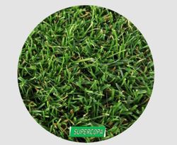 Tepe ornamental y resistente-52m2