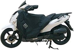 Termoscud para sym hd 125/200 evo